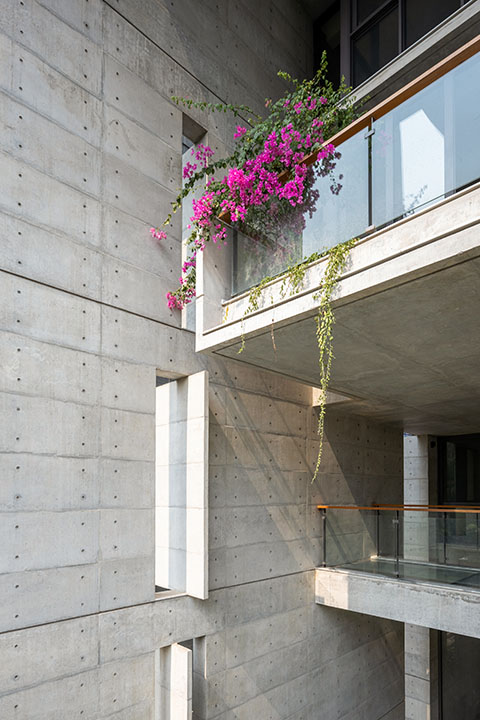 F2A+Partners Project Image